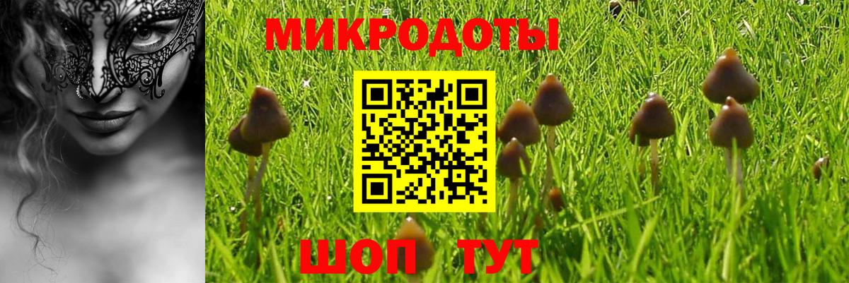 Псилоцибиновые грибы Magic Shrooms  наркотики  Псилоцибиновые грибы GOLDEN TEACHER  Тайшет  Вход с VPN 